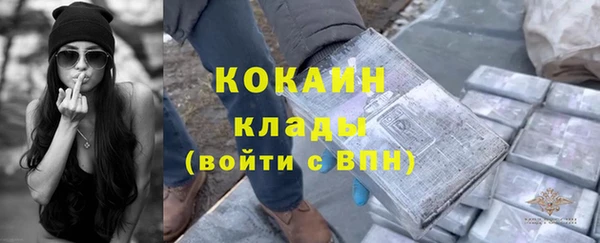 спайс Бикин